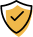 100% Secure Payment